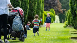 Hinton Ampner - The Very Hungry Caterpillar™ trail 1st-7th September