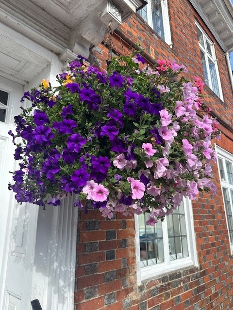 Hanging Baskets Coming Down – Week of 6th October