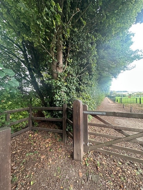 Leaf Clearance Arlebury Park – Looking for volunteers